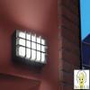 PRISMA 700195 KLEWE 700195 Bliz guard